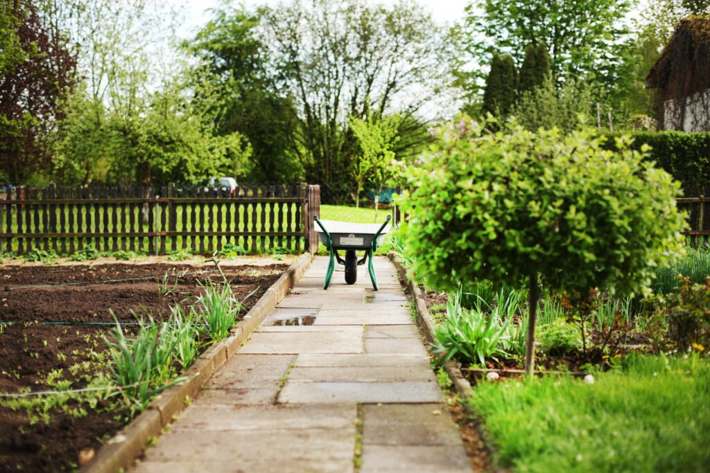 wheelbarrow