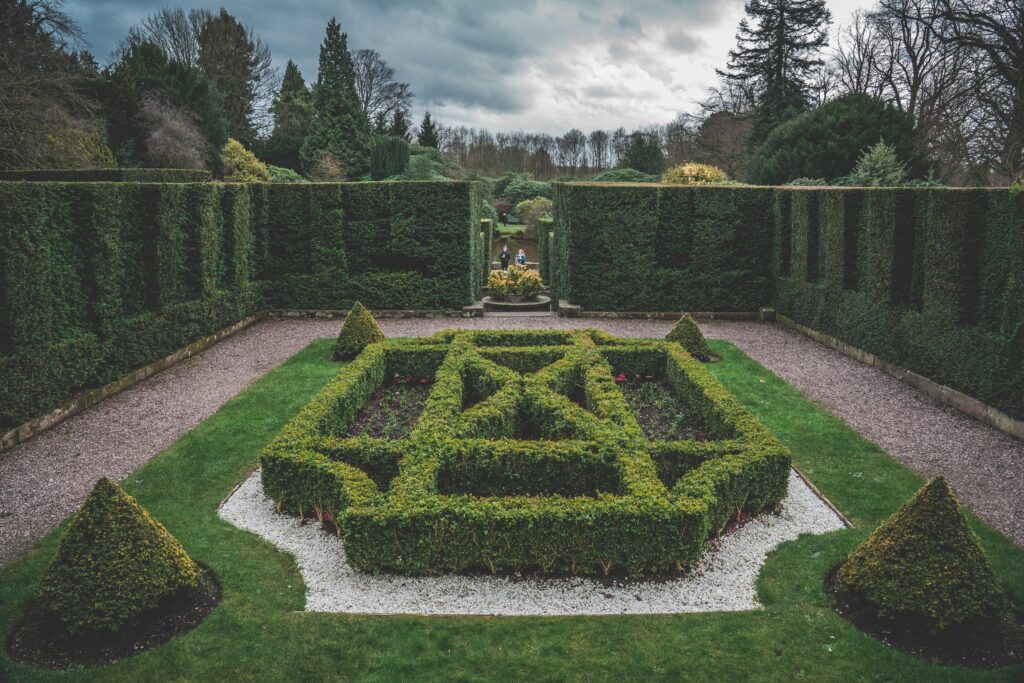 atanaspaskalev garden 4916522