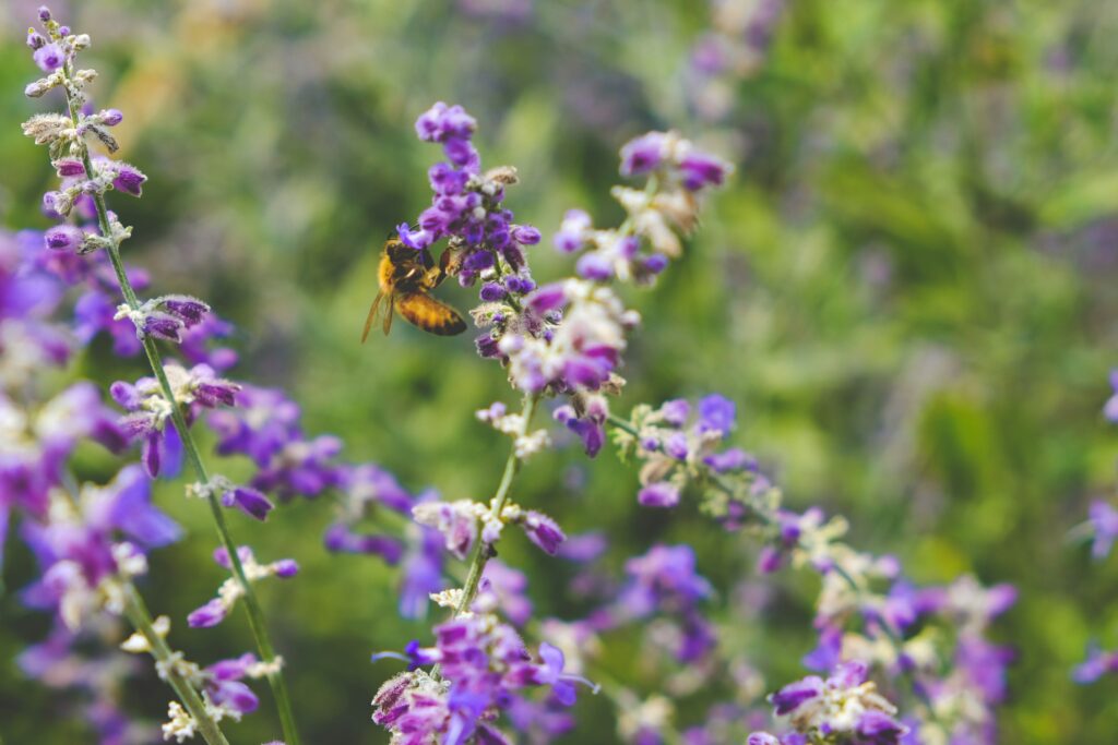 scotty turner dvlq8y3ngy4 unsplash